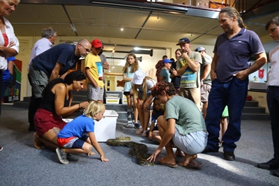 Up close and personal with local snakes