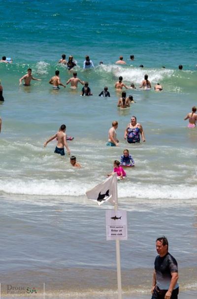 Beachgoers seen swimming in Mossel Bay despite shark sighting