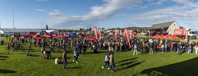 Excitement builds for Knysna Oyster Festival