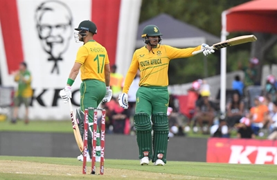 Knysna's own Protea pride