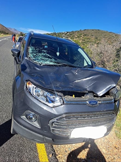 Koedoe spring voor EcoSport in