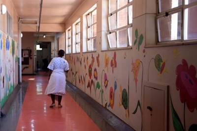 Baby-killing superbug highlights health crisis in Gauteng