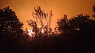 Groot brand in Ruiterbos omgewing
