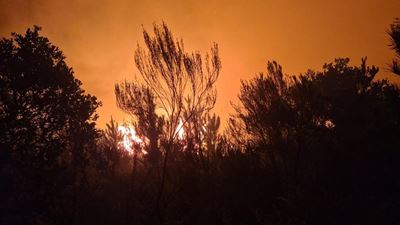 Groot brand in Ruiterbos omgewing
