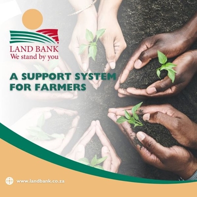Land Bank takes certain IT Systems offline as 'precautionary measure'