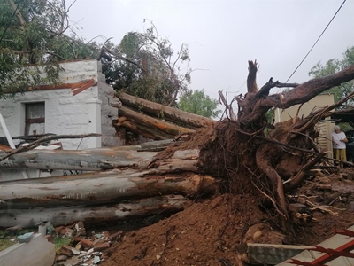 Reusebome verwoes huis