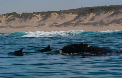 2nd Marine Science Symposium a huge hit