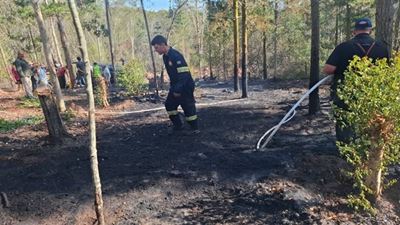 Mop-up after fires along N2 and at Langvlei Dunes 
