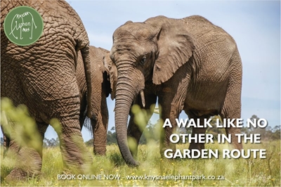 A walk like no other in the Garden Route