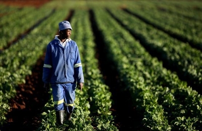 Land-law change seen by end-2019 at ‘very least’