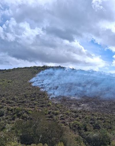 Controlled burns taking place in these Mossel Bay farm areas