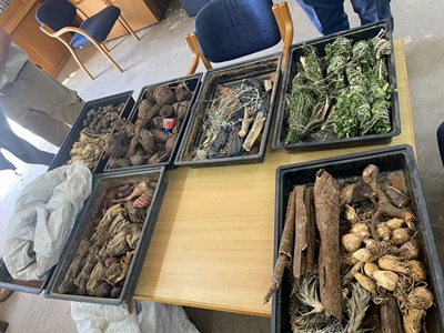 Operation to protect flora, fauna