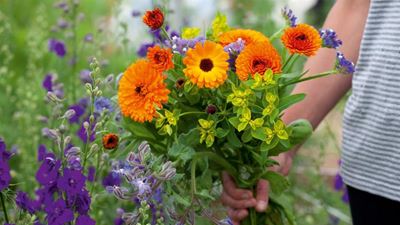 Garden trends for 2022