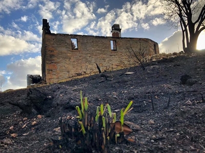 Wednesday: Garden Route fires update