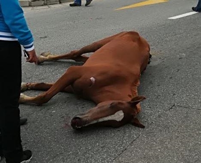 Close watch promised on horse riders