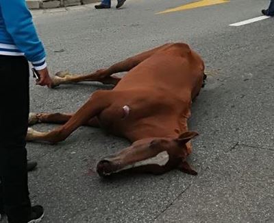 Close watch promised on horse riders