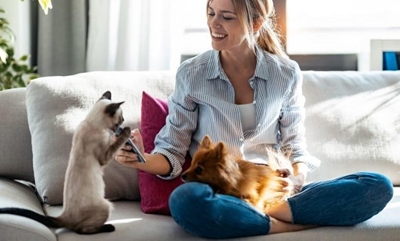 How much does it cost to own a pet?