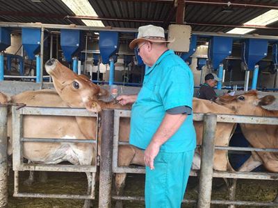 FMD: Farmers’ anxiety levels run high
