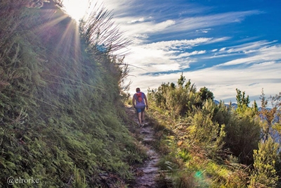 Outeniqua Hiking Trail event next week