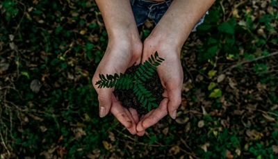 Green living begins at home