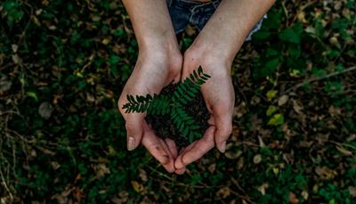 Green living begins at home