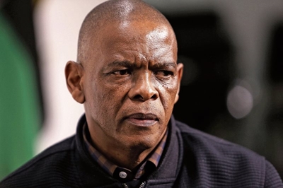 ANC vs Magashule: High court set to hear application in June