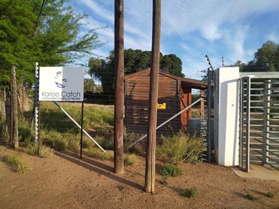 NSPCA investigates cruelty  to fish at fish farm