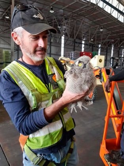 Farm attackers hit owl sanctuary in Hartbeespoort