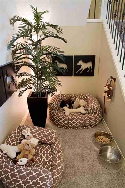 Tips for keeping pets in smaller homes