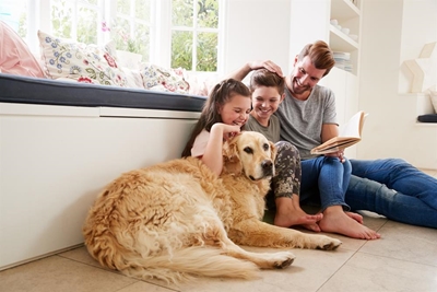 Mind your pets when moving or selling house