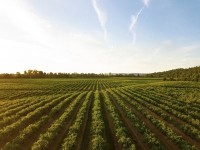 Extended relief for small-scale farmers