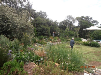 Plett slowing down to smell the roses