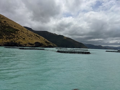 Aquaculture projects to create jobs