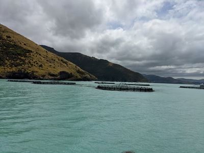 Aquaculture projects to create jobs