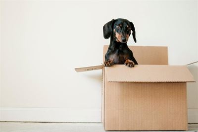 ’Tis the season to declutter, and recycle your paper and cardboard