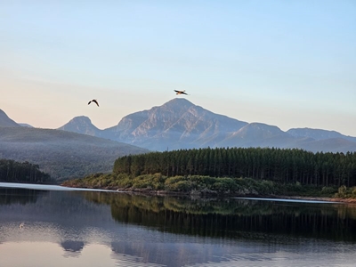 Kat Rivier cleanup on Saturday 7 June - your support is needed 