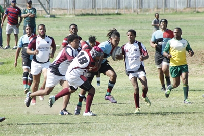 Harlequins klop Oudtshoorn-rugbyklub