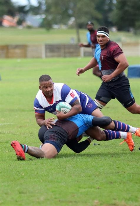 Karoo Harlequins klop Albertinia Rangers | Suid-Kaap Forum