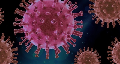 SA records 1,906 new Covid-19 cases
