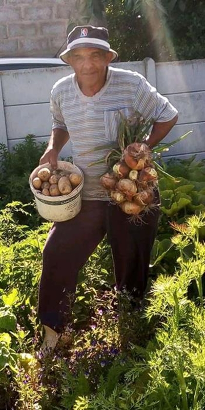 Revived food gardens growing 'beacon of hope'