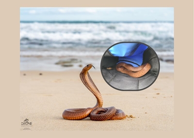 Strand-slang met rugsak gevang