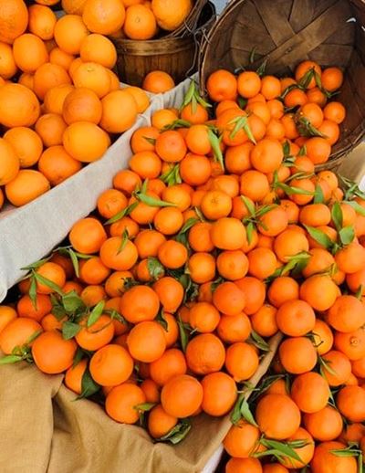 Load-shedding burdens SA’s fruit industry
