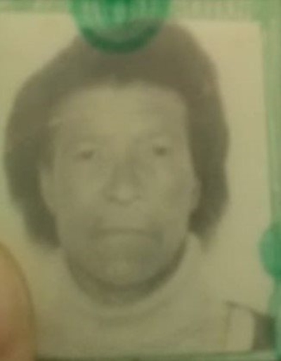 Elderly woman missing after crossing river 