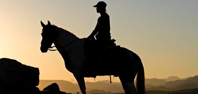Horse patrols introduced
