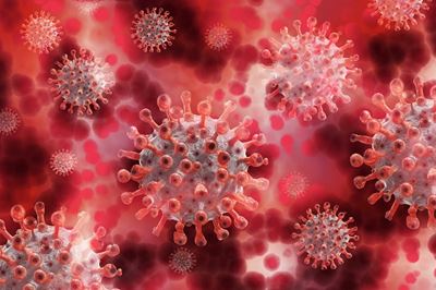 Further Covid-19 decreases in Knysna, Bitou