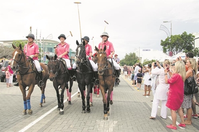 Plett polo ponies to prance soon