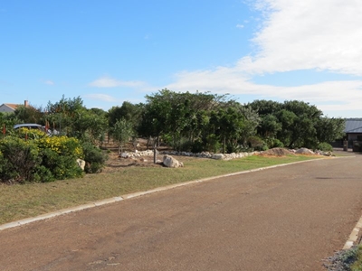 Stilbaai se eie inheemse woud