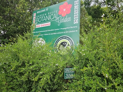 Fun at Botanical Garden this weekend
