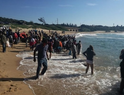 [WATCH] Sharks attracted to the South Coast as sardine activity increases