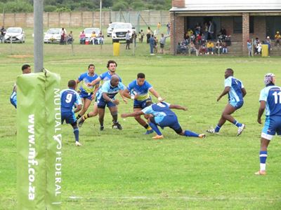 Seagulls speel in Stilbaai